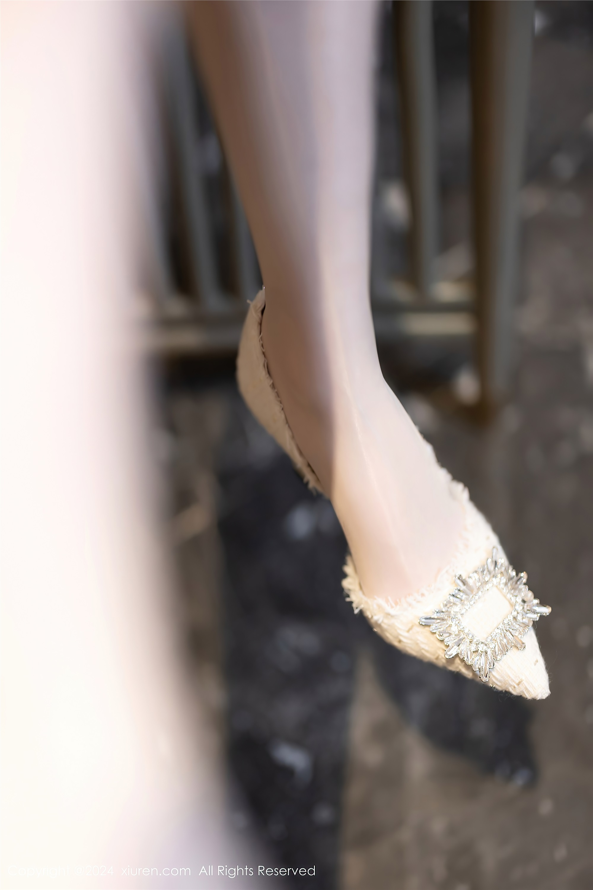 Xiuren秀人网 2024.06.03 NO.8643 梦心玥